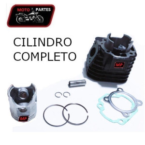 BWS 100 - Cilindro con Pistón VITRIX