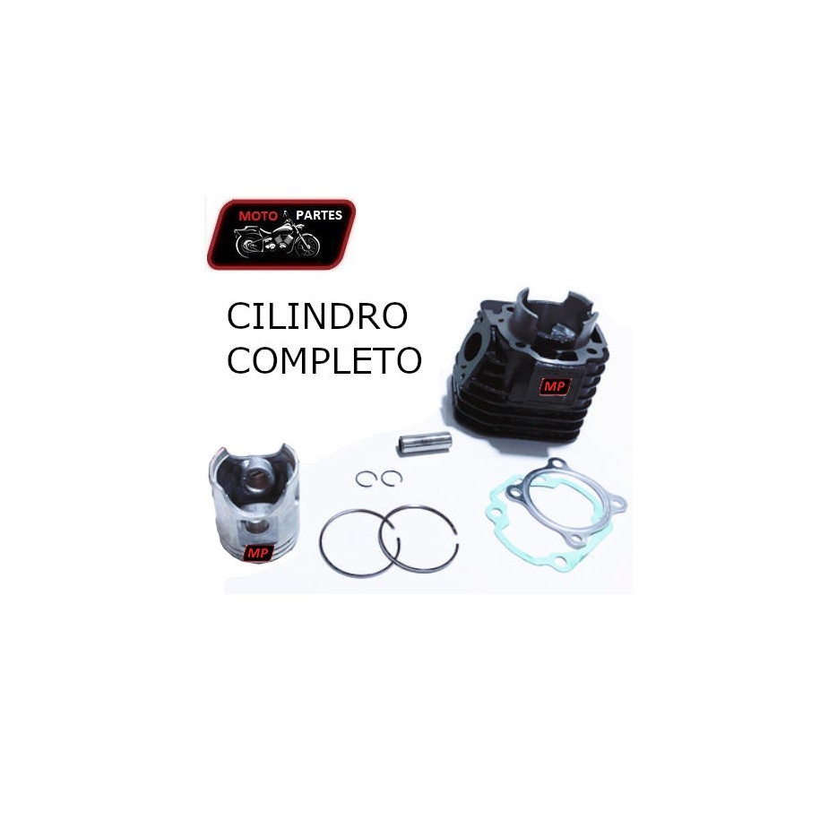 BWS 100 - Cilindro con Pistón VITRIX