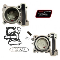 R15 V3 - Cilindro con Pistón VITRIX