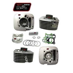 AX100-4 - Cilindro con Pistón VITRIX