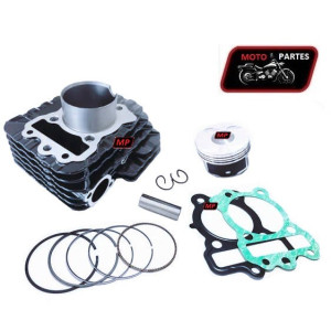 PULSAR 150NS - VITRIX