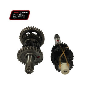 Caja de Cambios DREAM NEO 110 VITRIX