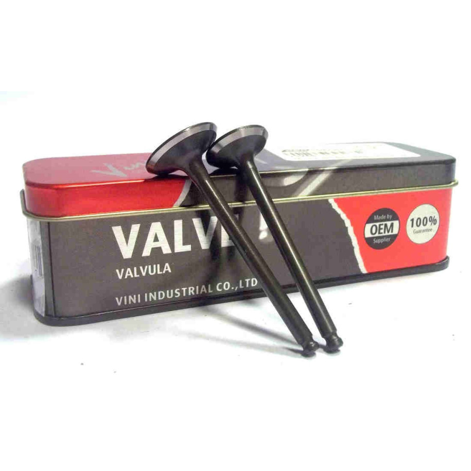 CB110 - Válvulas VITRIX