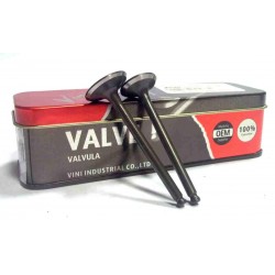 150RTX AKT - Válvulas VITRIX