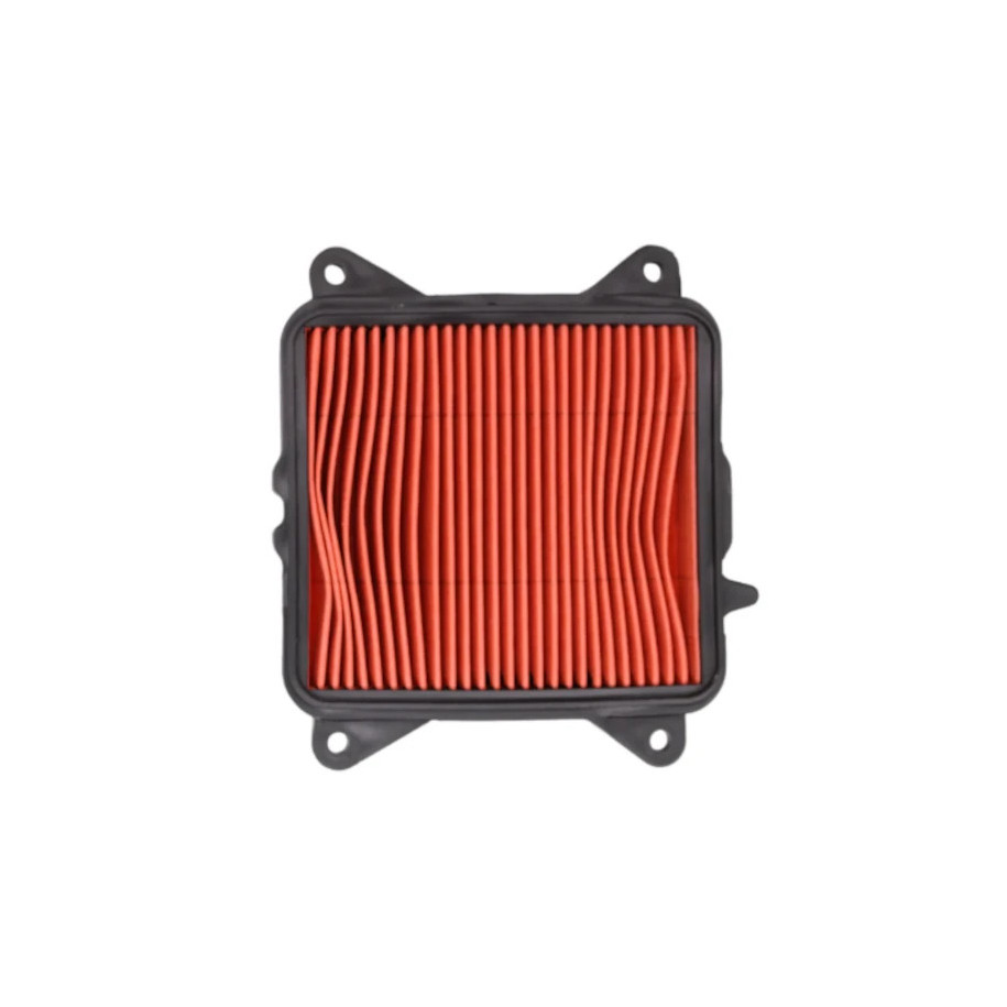 Filtro de aire - DR 150 - VITRIX